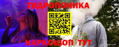 прущие крисы Будённовск